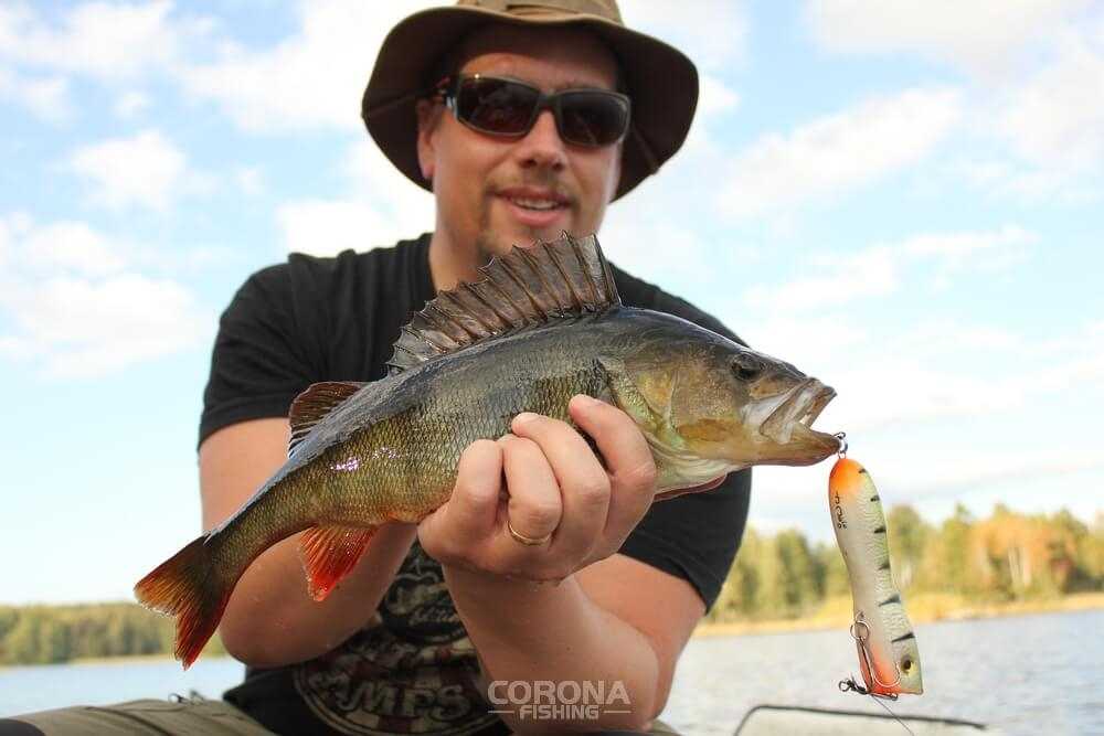 łowienie z powierzchni